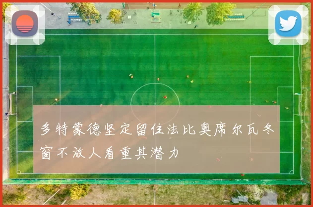 多特蒙德坚定留住法比奥席尔瓦冬窗不放人看重其潜力