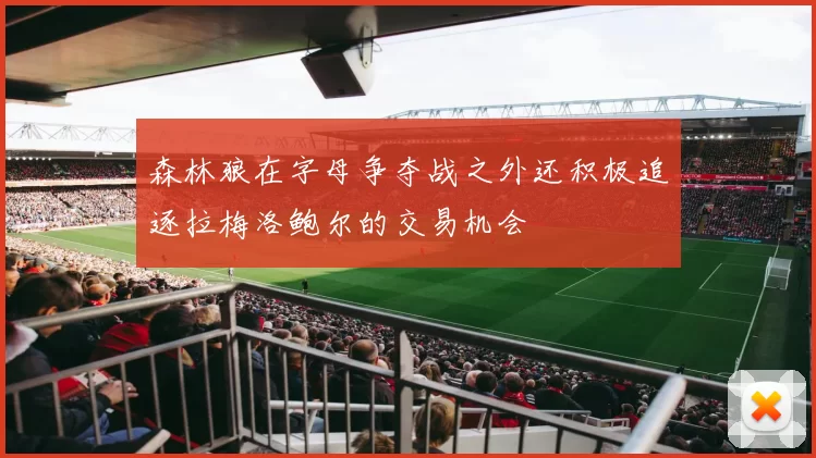 森林狼在字母争夺战之外还积极追逐拉梅洛鲍尔的交易机会